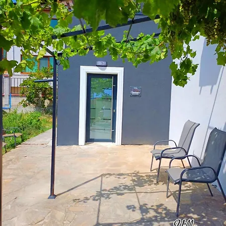 Villa Arode Dionysus *