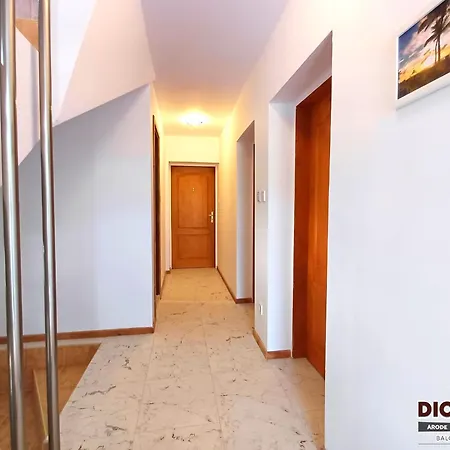 Arode Dionysus Baltjik