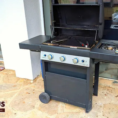 Arode Dionysus 빌라 발치크